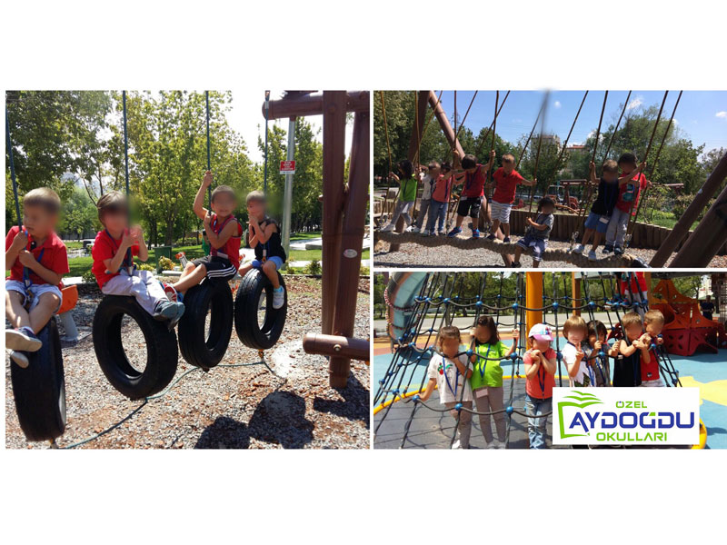 AYDOĞDU YAZOKULU 2017