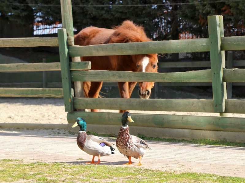 AYDOĞDU DOĞA  İLE YAŞAM