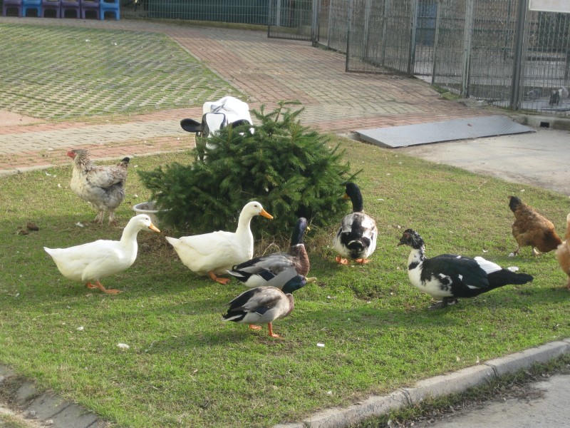 AYDOĞDU DOĞA  İLE YAŞAM